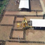 Fazenda à venda - Zona Rural - São José dos Campos/SP