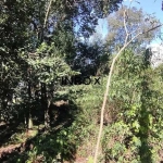 Terreno à venda na Alameda Das Araucárias, 3, Borgo, Bento Gonçalves