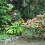 Terreno à venda na Estrada do Pontal, 2182, Recreio dos Bandeirantes, Rio de Janeiro