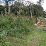 Terreno a venda em Santa Felicidade, 856 m², Rua Emílio Alexandrino da Silva