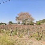 Terreno comercial à venda na Estrada Municipal José Boldrini, 6030, Colinas do Mosteiro de Itaici, Indaiatuba