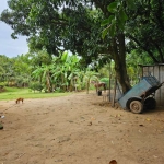 Chácara / sítio com 3 quartos à venda na Área Rural, 205, Área Rural de Cosmópolis, Cosmópolis