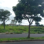 Terreno comercial à venda na Avenida Doutor Euridice José Bento, 478, Jardim do Lago Continuação, Campinas