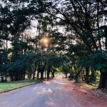 Terreno à venda em Campinas, Swiss Park, com 798 m²