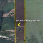 Sítio à venda em Santo Antônio de Posse, Pirapitingui, com 2 quartos, com 90000 m²