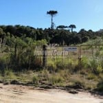 Terreno comercial à venda na Rua Mário Dybas, 117, Cidade Industrial, Curitiba