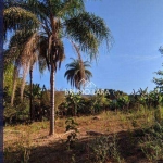 Terreno à venda. bairro Nossa Senhora da Paz - São Joaquim de Bicas/MG