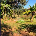 Sítio  à venda bairro Canarinho - Igarapé/MG