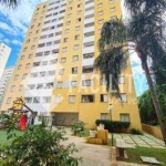 Apartamento com 2 quartos para alugar na Rua Francisco Bueno Lacerda, 220, Jardim Dom Vieira, Campinas