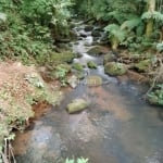 Fazenda à venda na Rural, 100, Zona Rural, Guapiara