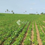 Fazenda à venda na Rural, 500, Área Rural de Avaré, Avaré