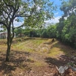 Chácara com 3 dormitórios à venda, 5000 m² por R$ 800.000 - Aceita permuta   - Zona Rural - Araucári