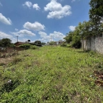 Terreno para Venda em Campo Largo, Vila São Luiz