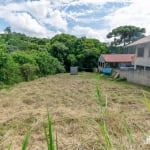 Terreno para Venda em Campo Largo, Loteamento Bieda