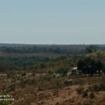 sitio 99 hectares na região do manso 77,4 Km de cidade de Cuiabá