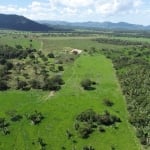 Vendo Propriedade situada na região próximo Agrovila Das Palmeiras