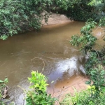 fazenda na região da cidade de Tesouro com 246 Hectares