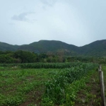 Chácara / sítio com 3 quartos à venda na ZONA RURAL, SN, Zona Rural, Santo Antônio do Leverger