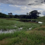 Fazenda à venda na Nova Brasilandia, sn, Zona Rural, Nova Brasilândia