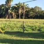 Fazenda à venda na pertinho de Cuiabá MT, 3223, Porto de Fora, Santo Antônio do Leverger