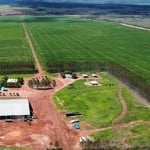 FAZENDA  A  VENDA  DE  5.700 HECTARES  EM  PARANATINGA - MT