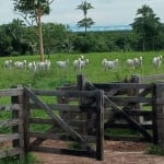 Fazenda à venda na Fazenda OLHO D'ÁGUA, 1, Zona Rural, Santo Antônio do Leverger