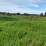 Excelente Fazenda Dupla Aptidão Tesouro/MT