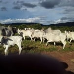 Fazenda à venda na rosario, 00, Zona Rural, Rosário Oeste