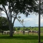 Fazenda à venda na Fazenda, 00, Zona Rural, Nova Mutum