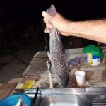 Chácara com pesqueiro rio Cuiabá, região da cidade de Santo Antônio do Leverger