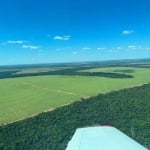 FAZENDA A VENDA EM NOVA MUTUM - MT