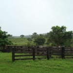 Fazenda à venda na Zona Rural, 1, Zona Rural, Primavera do Leste