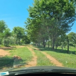 EXCELENTE FAZENDA  A VENDA EM CÁCERES