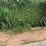 Terreno comercial à venda na Avenida Ulisses Pompeu de Campos, 12, Centro Norte, Várzea Grande