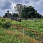 Fazenda à venda na Fazenda Brasilandia, 1, Zona Rural, Nova Brasilândia