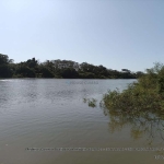 Sitio com 11.5 hectares na beira do rio Cuiabá 28 km de Várzea Grande MT