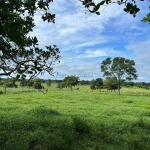 Sitio com 16 hectares, sendo 12 hectares formadas, 59 km da cidade de Várzea Gra