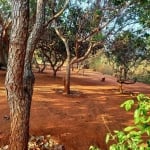 Sítio no Distrito de Água Fria - Chapada dos Guimarães - MT