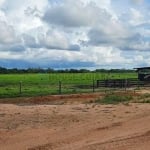 FAZENDA  SAO VICENTE  A VENDA