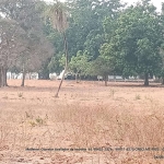 Fazendinha com 100 hectares 15 minutos do trevo do lagarto, na região da comunid