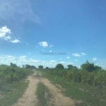 Fazenda 12.600 hectares na região do Barão do Melgaço MT.