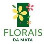 Oportunidade Ginco Florais da Mata