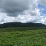 Fazenda  4.890 hectares  Pantanal.