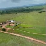 fazenda no município de Niquelândia no estado de Goiás