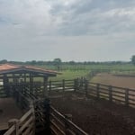 fazenda de 110 alqueires no município da cidade de Cocalinho