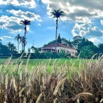 Propriedade rural de 182 alqueres (436,8 hectares), na região da cidade de Arara