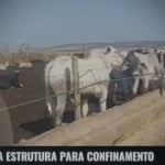 fazenda nova casa branca no triangula Mineiro de 5050 hectares