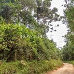 Chácara a venda na Estrada da Baitaca com potencial residencial e comercial com 20mil m2 - Quatro Barras-PR