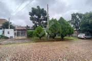 Casa com 4 quartos à venda na Rua João Berutti, 324, Chácara das Pedras, Porto Alegre