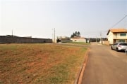 Terreno, 187 m², à venda por R$ 162.381 Campo Largo da Roseira - São José dos Pinhais/PR